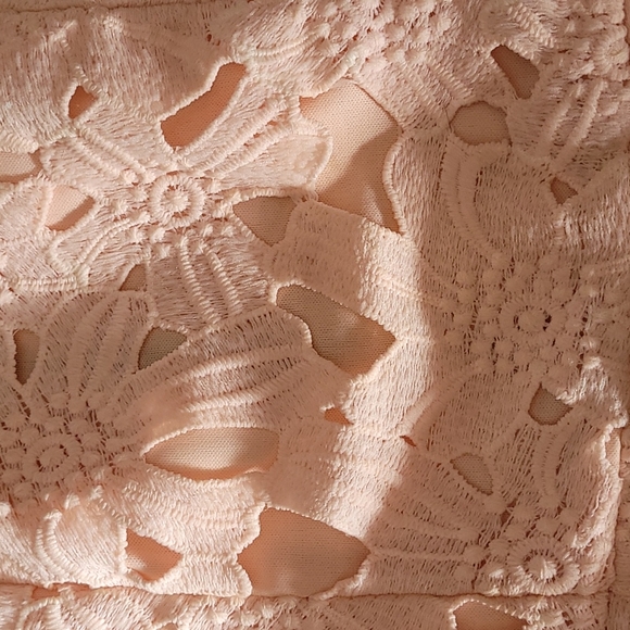 Lulu's lacey, blush pink dress, size 4 - Picture 2 of 3